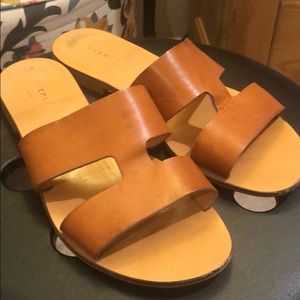 Everlane Gladiator Slides